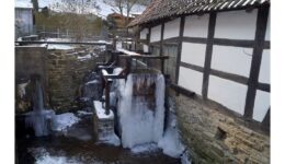 Der Frühling tut sich schwer